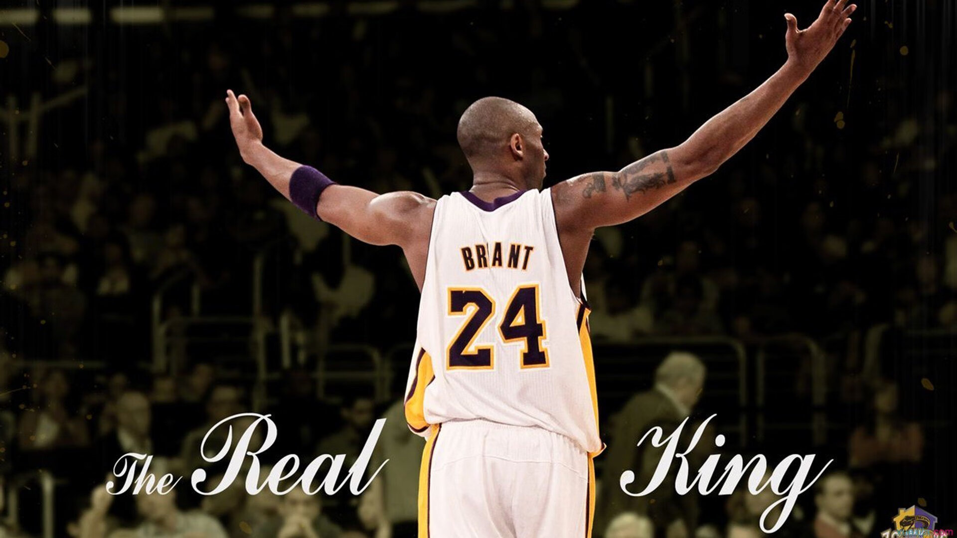 布鲁诺的救赎之夜,当塞内加尔战鼓遇上韩国太极虎